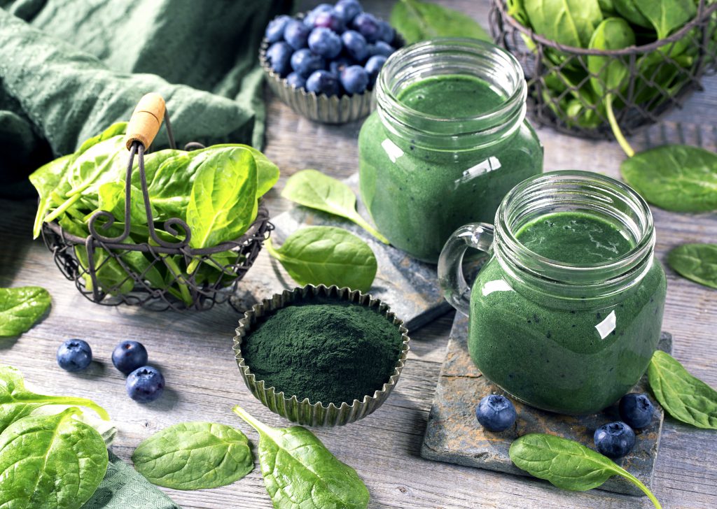 spiruline Food Factory