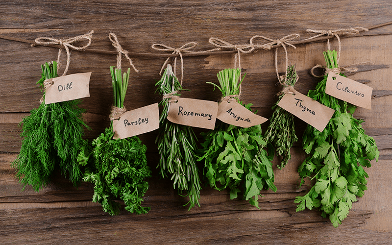 Herbes aromatiques